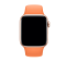 Ремінець силіконовий для Apple Watch 42 / 44 / 45 / 49 AAA+,  (Помаранчевий)